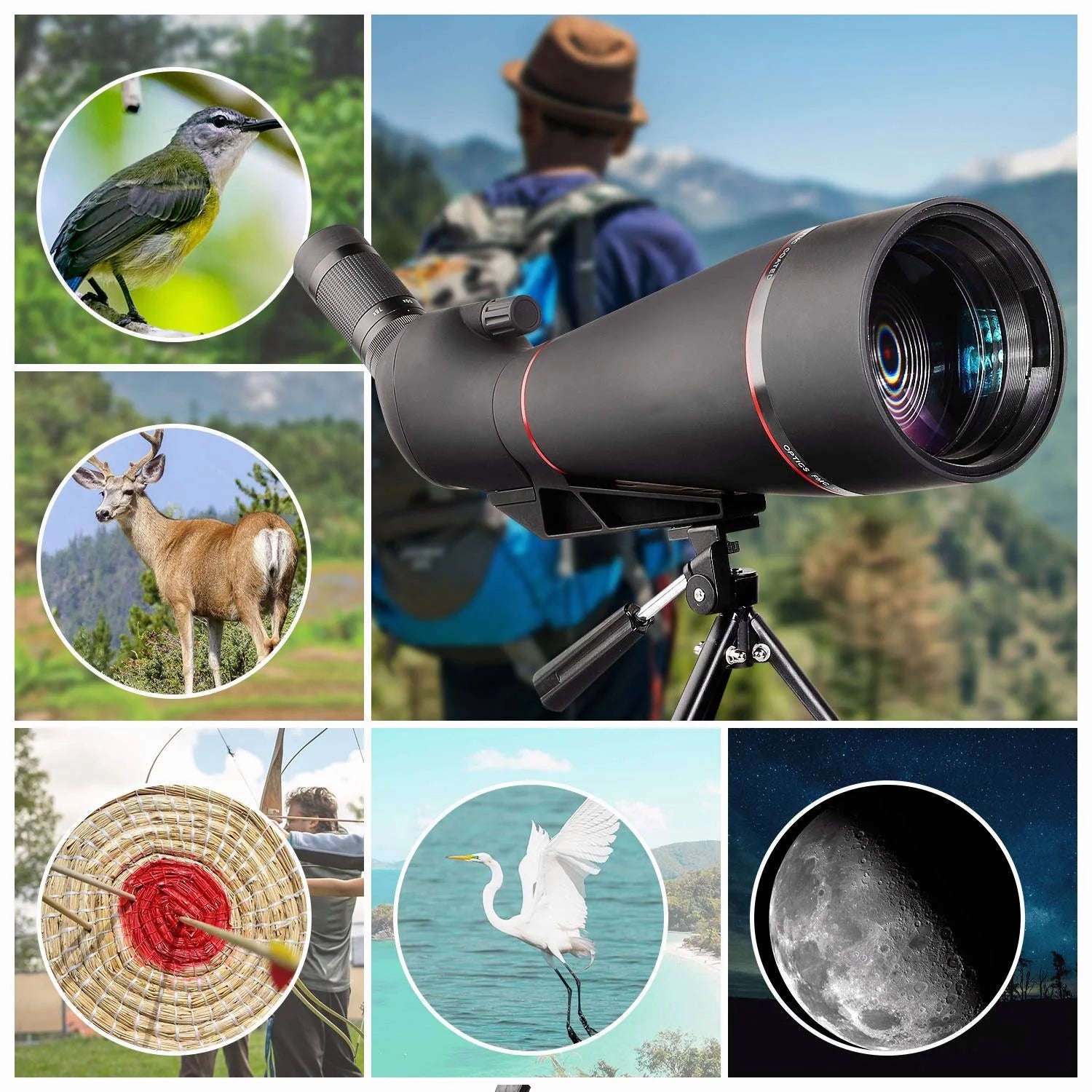 25-75x100 Spotting Scope